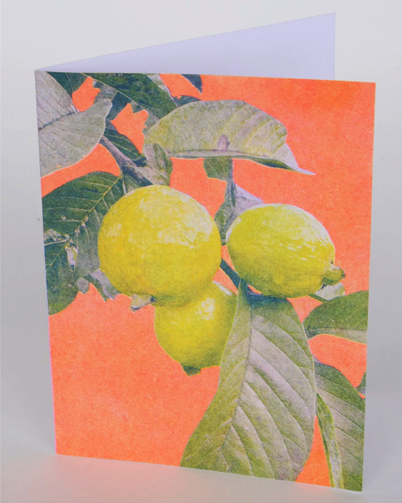 Red Wild Guava Greeting Card