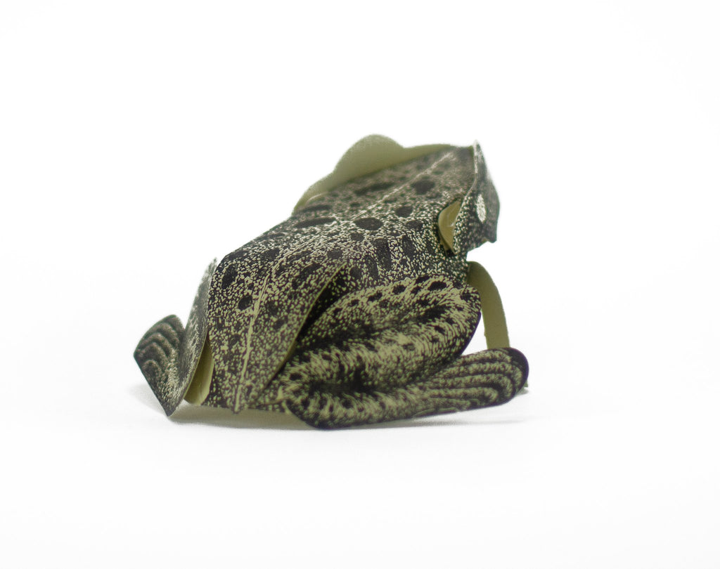 Paper Sculpture - Toad