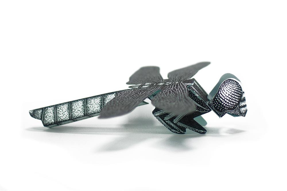 Paper Sculpture - Dragonfly