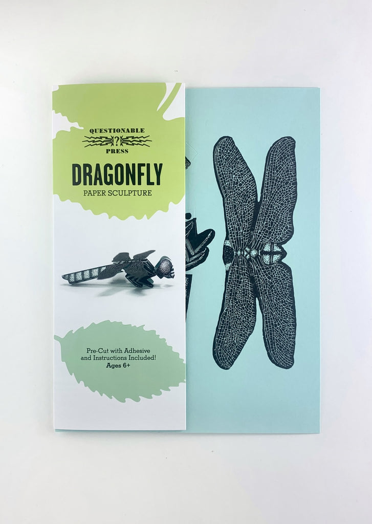 Paper Sculpture - Dragonfly